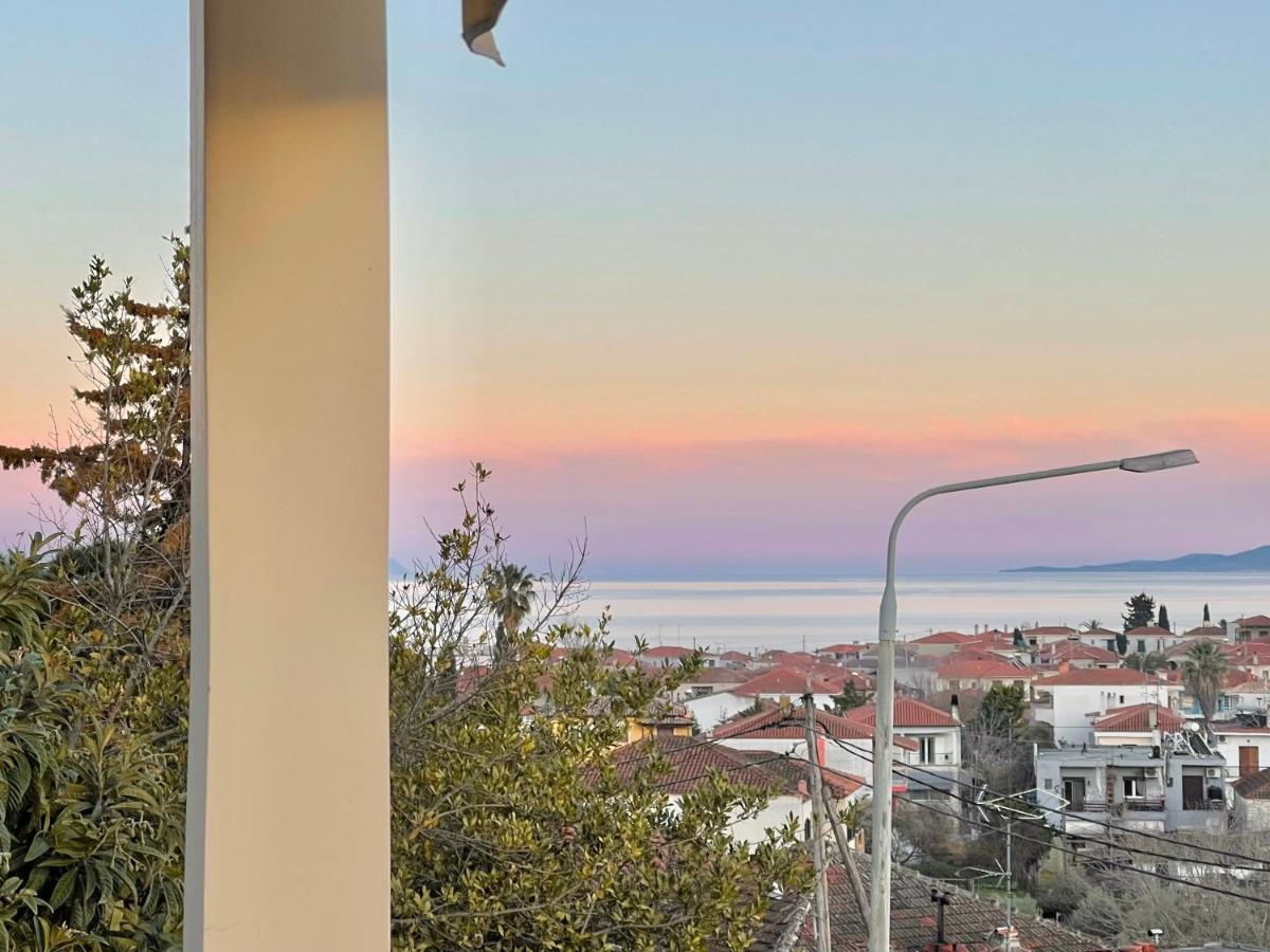 Althea - Christine'S House Βίλα Άφυτος Εξωτερικό φωτογραφία