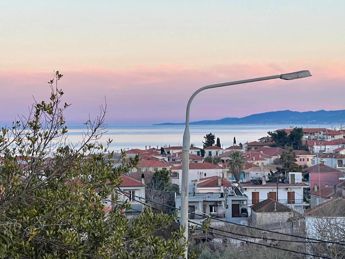 Althea - Christine'S House Βίλα Άφυτος Εξωτερικό φωτογραφία